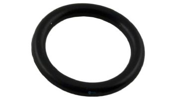 Waterco O-Ring for Drain Plug | 620193