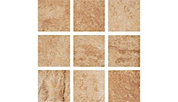 National Pool Tile Aztec 2x2 Series | Barley | AZ203