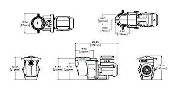 Pentair IntelliFlo Variable Speed High Performance Pool Pump with Digital Time Clock | 3HP Max | EC-011028