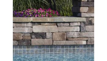 National Pool Tile Safari 6x6 Series | Multicolor | SFR-MULTI