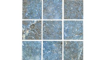 National Pool Tile Safari 2x2 Series | Multicolor | SFR-MULTI2X2