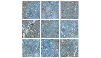 National Pool Tile Safari 2x2 Series | Sky Blue | SFR-BLUE2X2