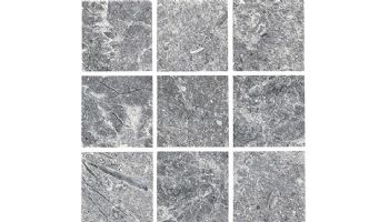 National Pool Tile Safari 2x2 Series | Multicolor | SFR-MULTI2X2