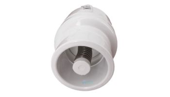 Pentair R172305 Water Bypass Check Valve Replacement Pool and Spa Heat Pump 