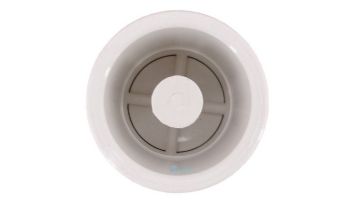 Pentair R172305 Water Bypass Check Valve Replacement Pool and Spa Heat Pump 
