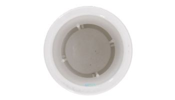 Pentair R172305 Water Bypass Check Valve Replacement Pool and Spa Heat Pump 