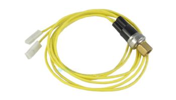 Raypak High Pressure Switch | H000079