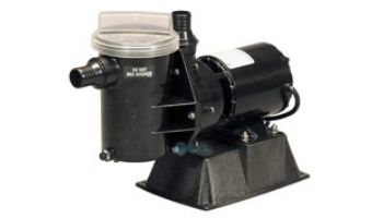 Lomart Promega 3/4HP Pool Pump | 1-2364-008