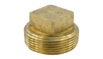 Raypak Unitherm Governor Plug | Brass | 013738F