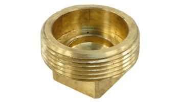 Raypak Unitherm Governor Plug | Brass | 013738F