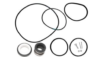 GO Kit for Jandy SHP Pump | Seals & Gaskets | 175123