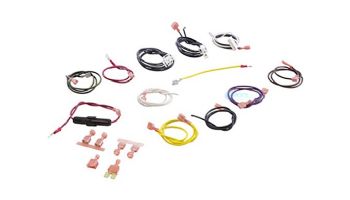 Zodiac Jandy Ignition Control Wire Harness | R0302700