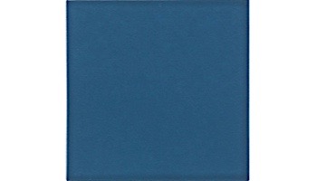 Cepac Tile Solid 6x6 Glossy Series | Navy Blue | #640