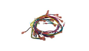 Raypak Wire Harness DSI | 011608F