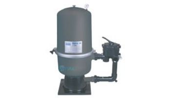 Waterco FulFlo DE Filter P2036 Complete | 2" Multi Purpose Valve & Piping | 230036A