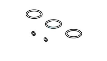 Raypak O-Ring Seals 5 Kit | 017157F