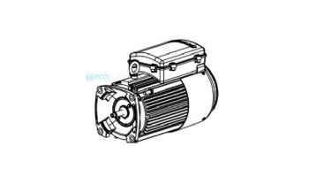 Hayward 2HP Motor | 208-230V Single Phase | HCXP3020Z1M