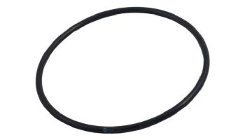 Waterco Oval Lid O-Ring | WMCW02536