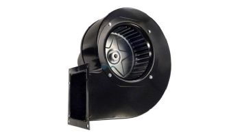 Raypak Blower Combustion Air | 007414F