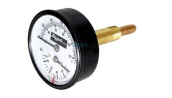 Raypak 0-230 PSI Temp & Pressure Gauge Kit | 014221F