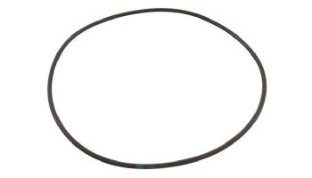 Waterco O-Ring for Clamp Style Valve | 620269