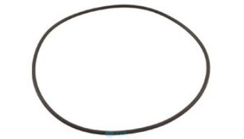 Waterco O-Ring for Clamp Style Valve | 620269