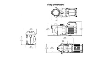 Pentair SuperFlo VST Variable Speed Pump 1.5HP | Almond | 342002