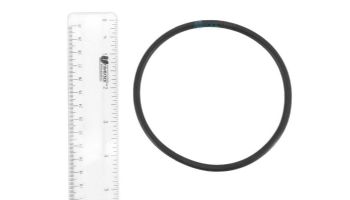 Pentair Boost-Rite O-Ring Kit | ZBR12200