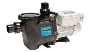 Waterway Power Defender 125 Dual Voltage Variable Speed Above Ground Pool Pump 1.25HP 115/230V | PD-VAG125