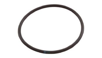 Waterway O-Ring 2 1/2" Union | 805-0232B | 805-0232