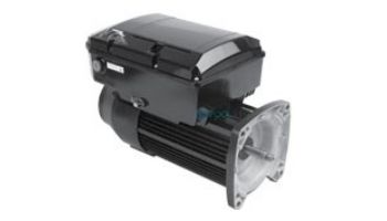 Replacement Square Flange Variable Speed Pool & Spa TEFC Motor | 1HP Energy Efficient | 48 Frame Full-Rated | 115/230V | NPTQ125