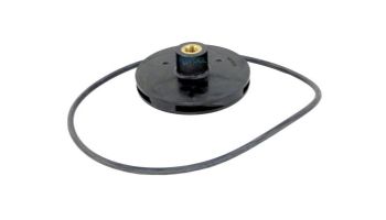 Jandy .75HP Impeller FHPM Kit with Screw & O-Ring | R0479601
