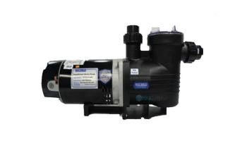 Waterco Supastream .75HP Above Ground Pool Pump | 115/230V | 2403075A