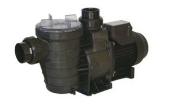 Waterco Supatuf .75HP Above Ground Pool Pump 3-Phase | 230-460V | 241075A-3