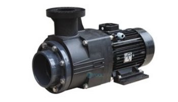 Waterco Hydrostar Plus 5HP Commercial High Performance Pump without Strainer | 3-Phase 208-230/460V | 2460501A