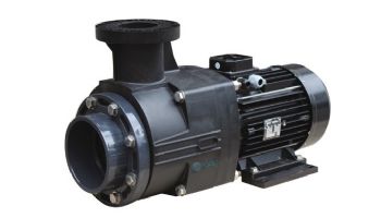 Waterco Hydrostar Plus 10HP Commercial High Performance Pump without Strainer | 3-Phase 208-230/460V | 2461001A