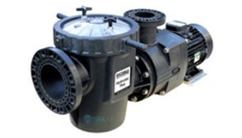 Waterco Hydrostar Plus 5HP Commercial High Performance Pump without Strainer | 3-Phase 208-230/460V | 2460501A