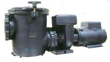 Waterco Hydro5000 7.5HP Cast Iron Commercial High Performance Pump | 3-Phase 208-230/460V | 19B05000