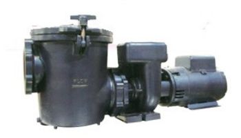Waterco Hydro5000 7.5HP Cast Iron Commercial High Performance Pump | Single Phase 230V | 19B05004