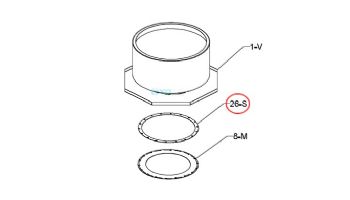 Raypak Flue Exhaust Gasket Retainer | 010035F