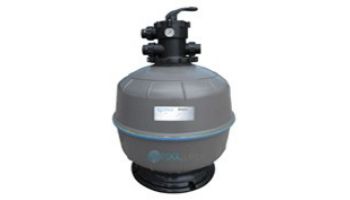 Waterco Exotuf E600 24_quot; Top Mount Sinking Bead Filter with Multiport Valve | 4 Sq. Ft. 60 GPM | 2260246B