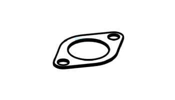 Raypak Pump Flange Gasket | 015893F