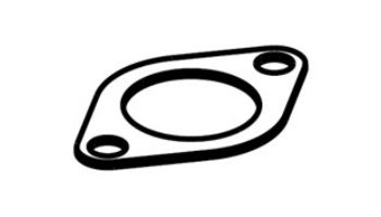 Raypak Pump Flange Gasket | 015893F