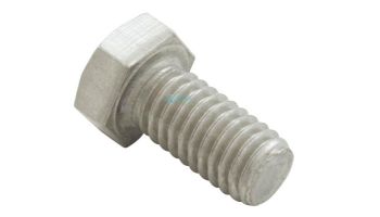 Pentair Hex Head Cap Screw 3/8-16 x 3/4" | Stainless Steel | A135