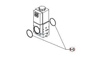 Raypak O-Rings | 012440F