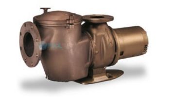 Commercial Pool Pumps Pool Supply Unlimited