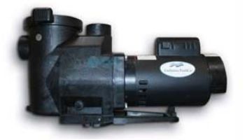 Blue Torrent Inground Pool Pump | 1 HP 115/230V | 5-AC1056