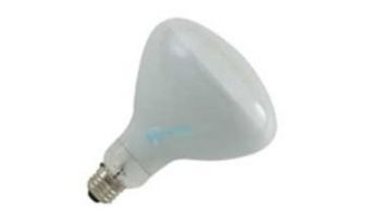 Halco R40 Flood Hard Glass Incandescent Lamp | 500W 120V | 104042