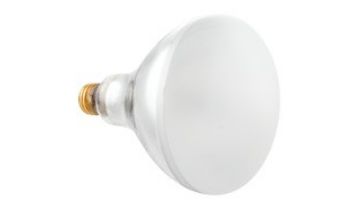 Hayward R40 Reflector Flood Warm White Pool Light Incandescent | 120V 500W | R40FL500/HG 104042