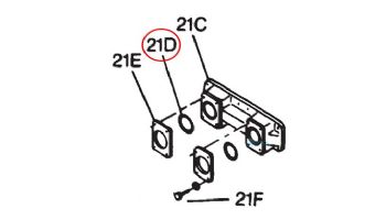 Pentair Flange Gasket | S0095600